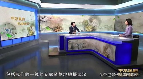 欢呼 央视重磅宣传中医,国宝就应该这么对待