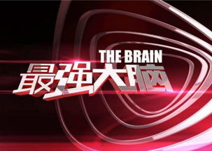 最强大脑 究竟谁是这个脑子的拥有者